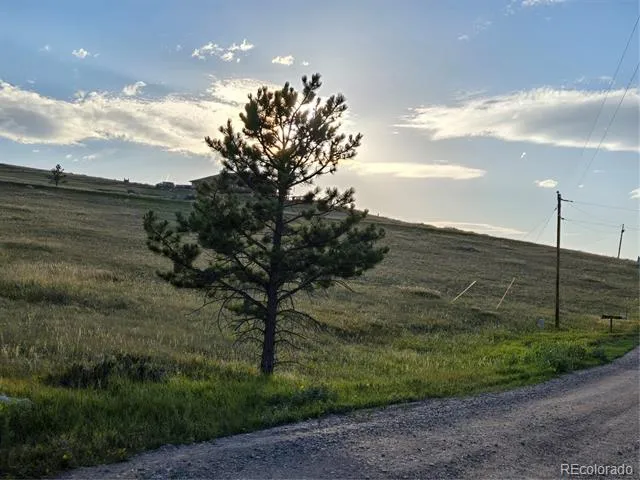 443 Meadow Mountain Drive Livermore, CO 80536