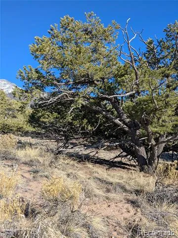 1393 Spanish Ruins Crestone, CO 81131