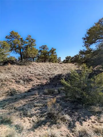 1393 Spanish Ruins Crestone, CO 81131