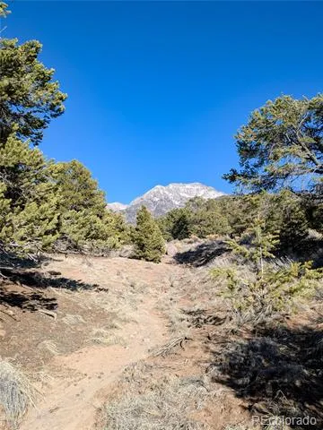 1393 Spanish Ruins Crestone, CO 81131