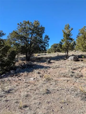 1393 Spanish Ruins Crestone, CO 81131