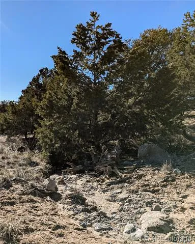 1393 Spanish Ruins Crestone, CO 81131