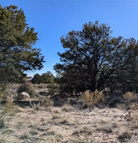 1393 Spanish Ruins Crestone, CO 81131