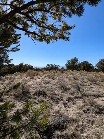 1393 Spanish Ruins Crestone, CO 81131