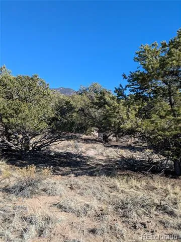 1393 Spanish Ruins Crestone, CO 81131