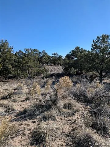 1393 Spanish Ruins Crestone, CO 81131