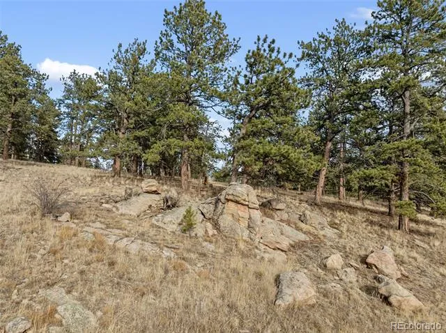 263 Valley Drive Lake George, CO 80827
