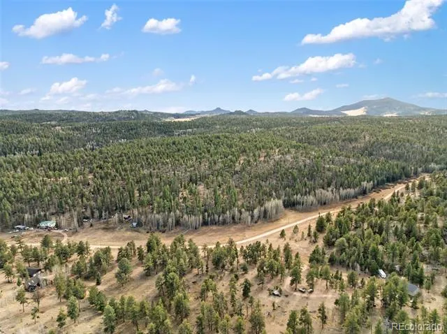 263 Valley Drive Lake George, CO 80827