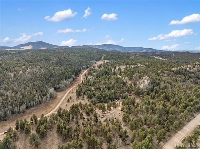 263 Valley Drive Lake George, CO 80827