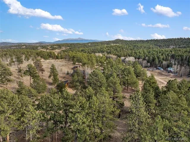 263 Valley Drive Lake George, CO 80827