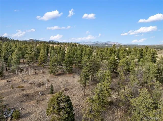 263 Valley Drive Lake George, CO 80827