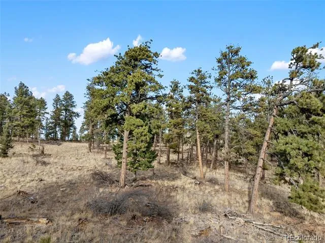 263 Valley Drive Lake George, CO 80827