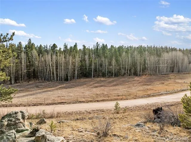 263 Valley Drive Lake George, CO 80827