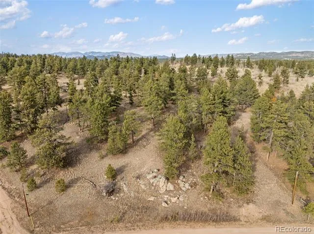 263 Valley Drive Lake George, CO 80827