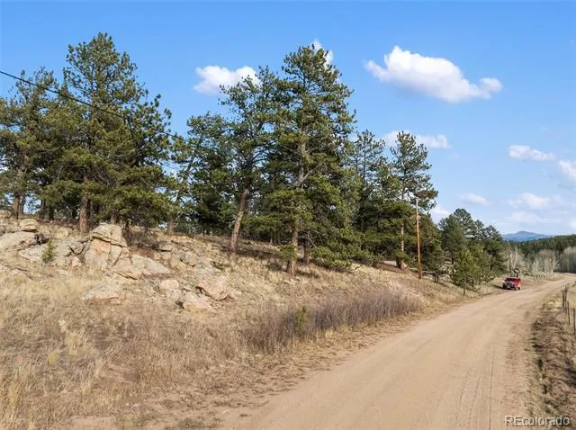 263 Valley Drive Lake George, CO 80827