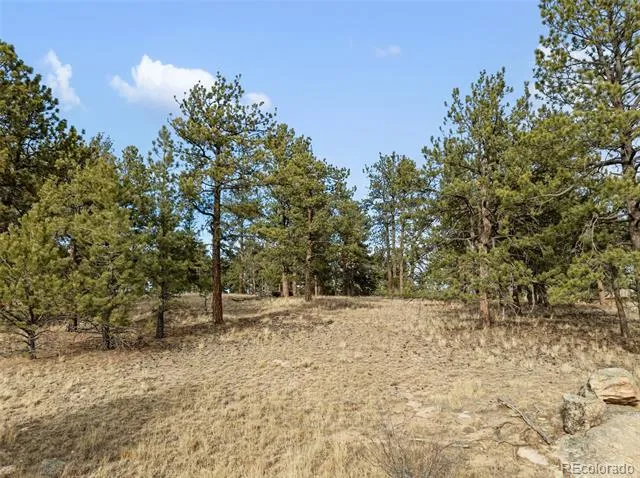 263 Valley Drive Lake George, CO 80827