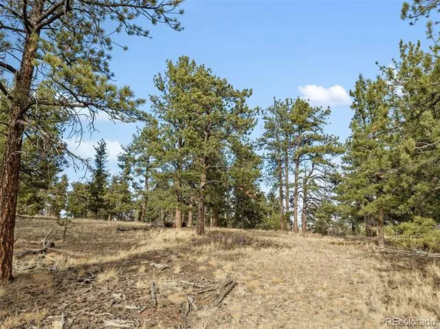 263 Valley Drive Lake George, CO 80827