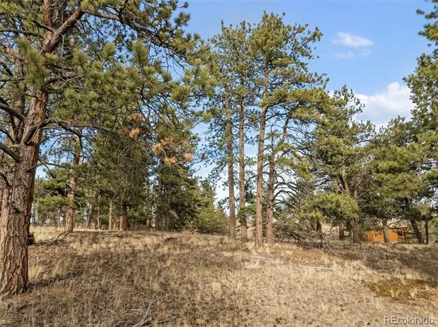 263 Valley Drive Lake George, CO 80827