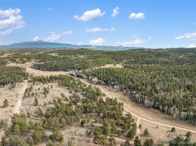 263 Valley Drive Lake George, CO 80827