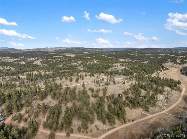263 Valley Drive Lake George, CO 80827