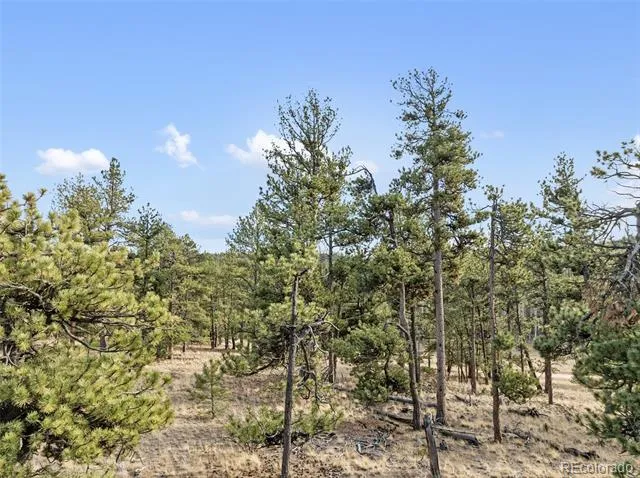 263 Valley Drive Lake George, CO 80827