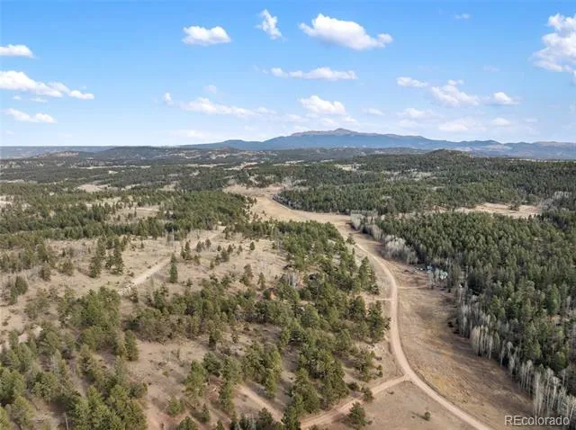 263 Valley Drive Lake George, CO 80827