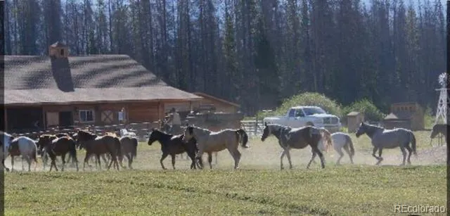 1680 Cr-491 Road Grand Lake, CO 80447
