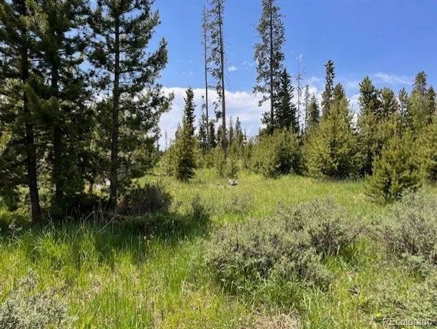 1680 Cr-491 Road Grand Lake, CO 80447