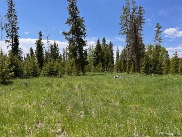 1680 Cr-491 Road Grand Lake, CO 80447