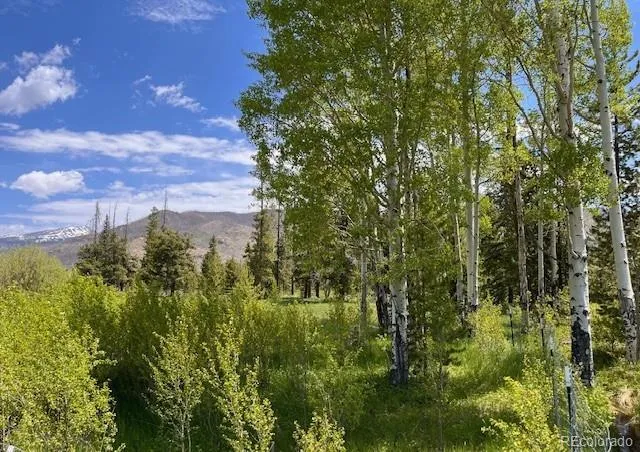 1680 Cr-491 Road Grand Lake, CO 80447