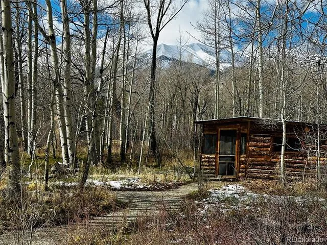 17430 Reserve Drive Buena Vista, CO 81211