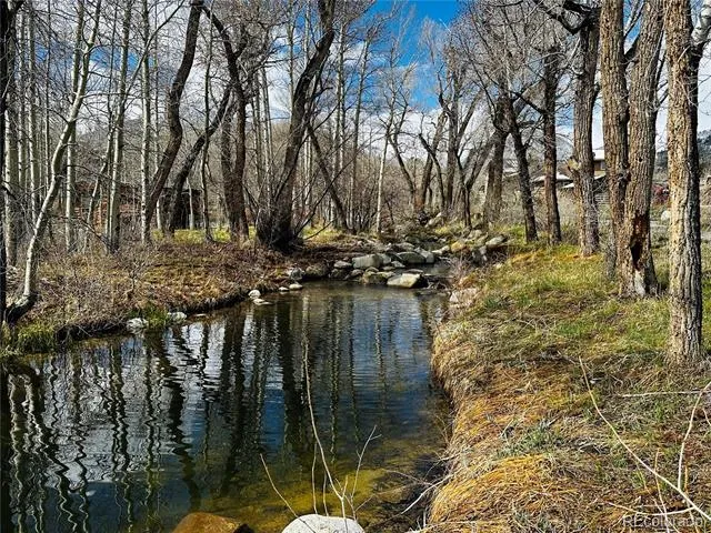 17430 Reserve Drive Buena Vista, CO 81211