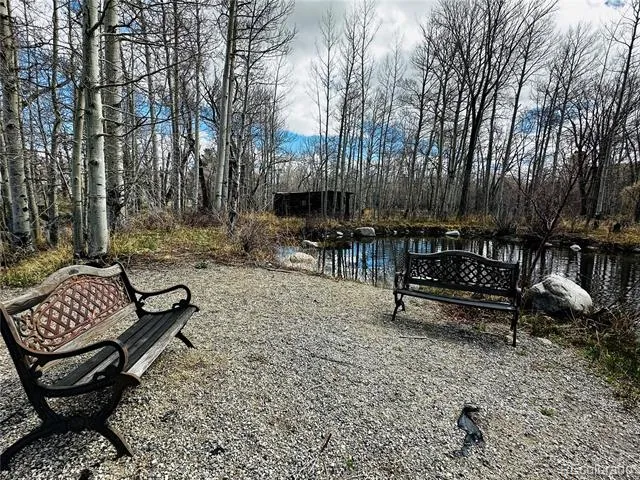 17430 Reserve Drive Buena Vista, CO 81211