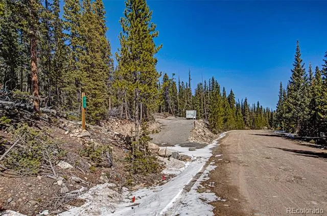 313 Porcupine Road Fairplay, CO 80440