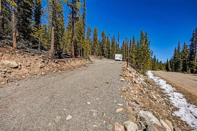 313 Porcupine Road Fairplay, CO 80440