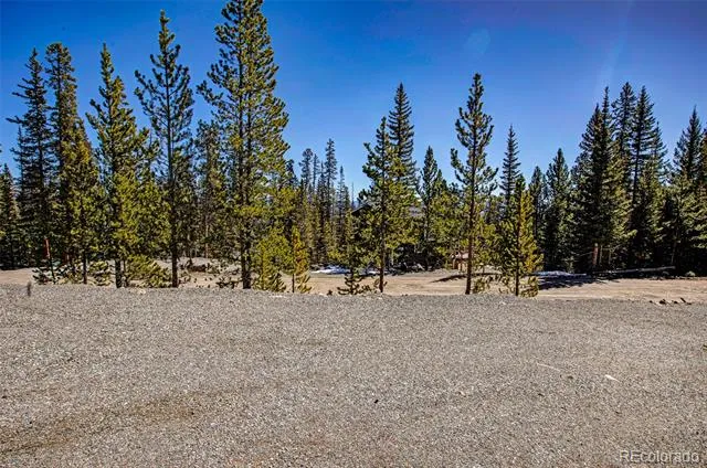 313 Porcupine Road Fairplay, CO 80440