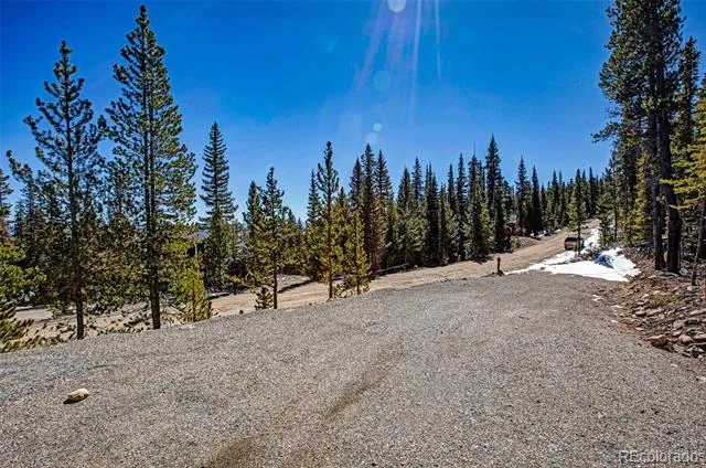 313 Porcupine Road Fairplay, CO 80440