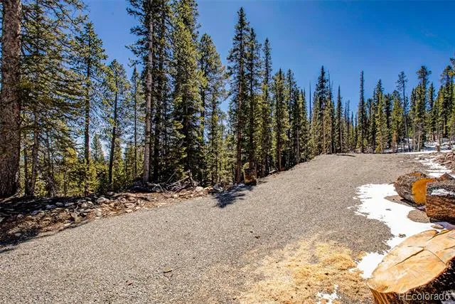 313 Porcupine Road Fairplay, CO 80440