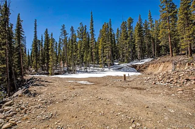 313 Porcupine Road Fairplay, CO 80440