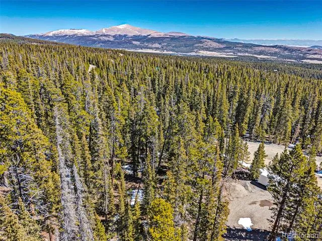 313 Porcupine Road Fairplay, CO 80440