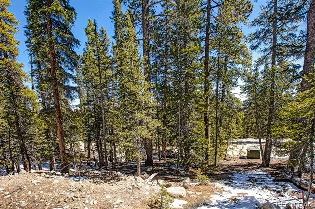313 Porcupine Road Fairplay, CO 80440