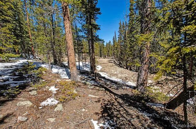 313 Porcupine Road Fairplay, CO 80440