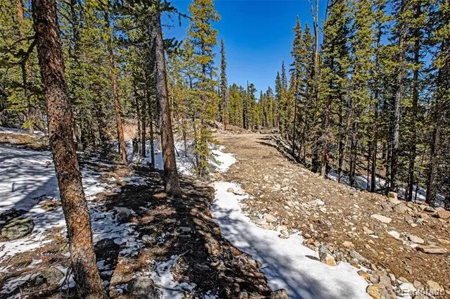 313 Porcupine Road Fairplay, CO 80440