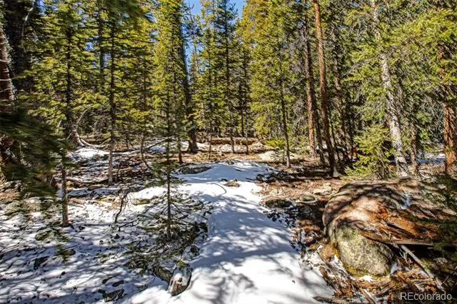 313 Porcupine Road Fairplay, CO 80440