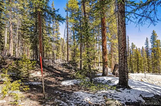 313 Porcupine Road Fairplay, CO 80440
