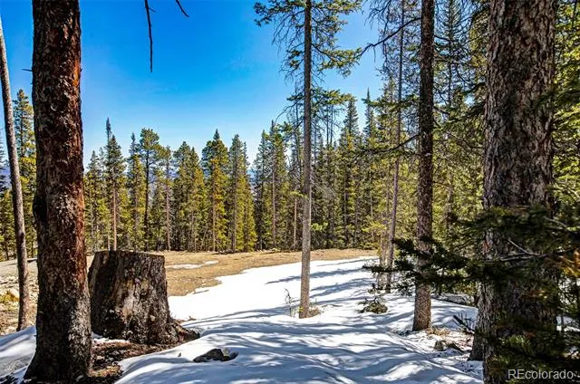 313 Porcupine Road Fairplay, CO 80440