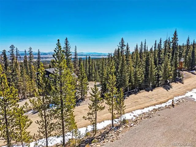 313 Porcupine Road Fairplay, CO 80440