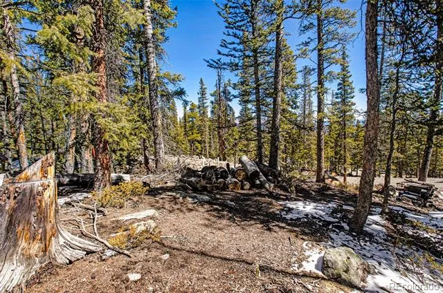 313 Porcupine Road Fairplay, CO 80440