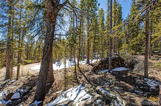 313 Porcupine Road Fairplay, CO 80440