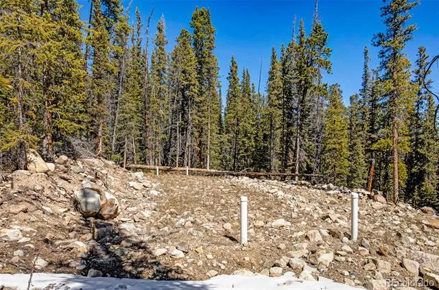 313 Porcupine Road Fairplay, CO 80440